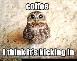 Image result for coffee meme funny