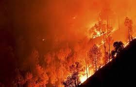 Image result for आग