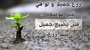 Résultat de recherche d'images pour "‫حكم عن الحكمة‬‎"