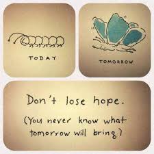 Don&#39;t lose hope., Interesting Quotes – Feedfloyd via Relatably.com