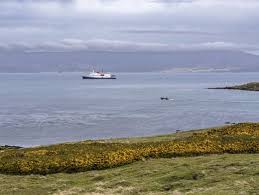 (S+) Warum Donald Trump die Falklandinseln ins Gespräch bringt