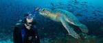 Galapagos Diving trip - Galapagos Islands Forum - TripAdvisor