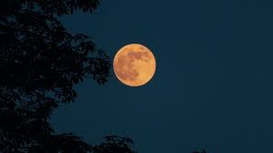 Pleine Lune des Moissons : un spectacle à observer ce samedi en France — La Chaîne Météo