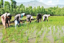 Business Standard - News update