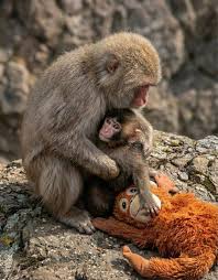 Every little heart deserves someone to hold it close 🥹Today ...