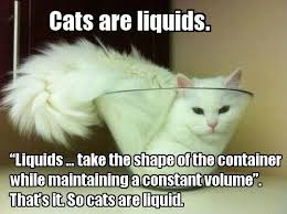 Cats are liquids | Funny Pictures, Quotes, Pics, Photos, Images ... via Relatably.com