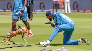 Taarak Mehta Ka Ooltah Chashmah fans are thrilled after IPL names its robot dog Champak: ‘Jethalal approves this name’