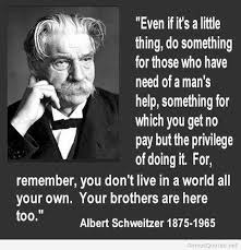 Albert Schweitzer Quote via Relatably.com