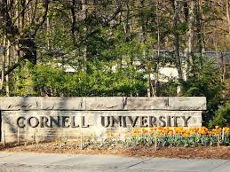 Image result for cornell university pictures