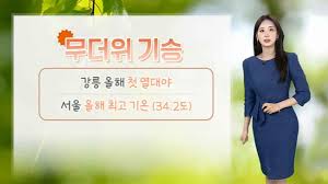 연합뉴스TV - News update