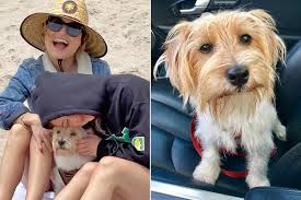 Giada De Laurentiis Celebrates 9 Years with Dog Bruno and BTS' Success