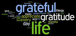 Image result for gratitude images