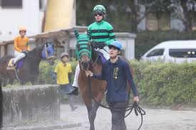１年ぶり復帰戦制した３冠馬プリフロオールインが主役、宮川実騎手は単独最多４勝／福永洋一記念（日刊スポーツ）