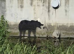 Afbeeldingsresultaat voor global warming graffiti