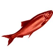 Image result for Red Herring