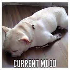 Current mood via Relatably.com