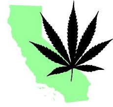 Resultado de imagen de Legalization