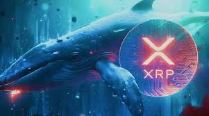 فروش ۴۷۰ میلیون ریپل در ۱۰ روز! کف قیمت XRP در این روند نزول|رمزارز نیوز