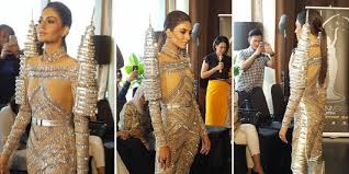 Image result for miss universe 2017