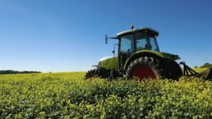 Fuel supports by end of June as Govt finalises scheme