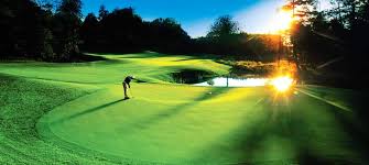 Image result for golf courses