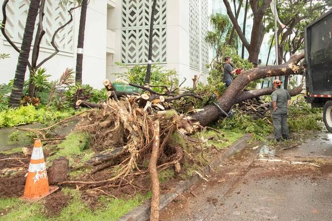 Hawaii begins recovery as Hurricane Lala, downgraded to tropical storm, dumps heavy rain; officials probe possible deaths