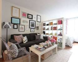 Image of studio apartment with distinct living and sleeping areas created using a rug and a bookshelf as a divider