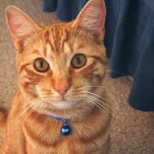 R&eacute;sultat de recherche d'images pour 