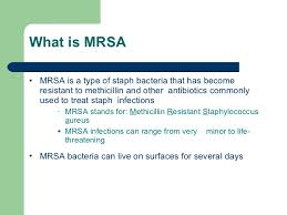 Image result for mrsa
