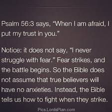 Bible Quotes About Trust. QuotesGram via Relatably.com