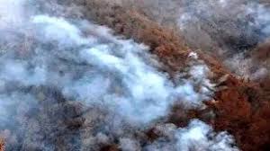 جزئیات عملیات اطفاء حریق در مناطق کوهستانی و جنگلی الیت