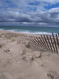 Image result for nantucket beach