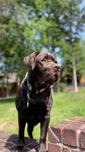 ¡Nadie es perfecto, pero el amor lo es todo!