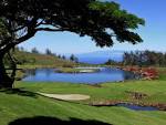 Big island country club