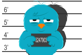 Resultado de imagen para twitter