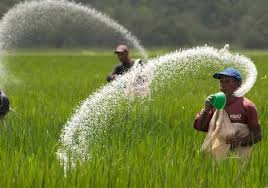 farmers in india साठी प्रतिमा परिणाम