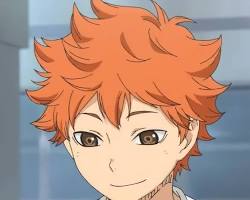 Image de Shoyo Hinata (Haikyuu!!) anime character