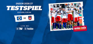 hsv – heidenheim
