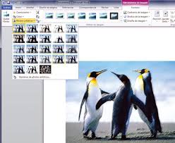 Resultado de imagen para insertar imagenes word