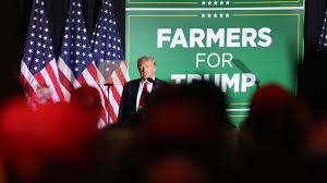 Trump suggests farmer bailout coming from tariff money