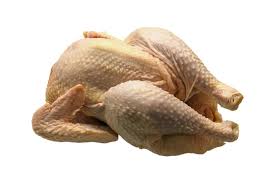 Image result for ayam pedaging