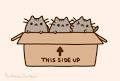 images?q=tbn:ANd9GcQ5ZHPslZPlYfu2Iesm45E