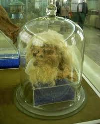 Preserving with Salt