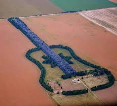 Resultado de imagen de land art