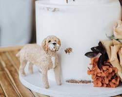 wedding cake with a pet topperの画像