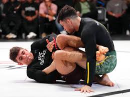 MMA Fighting - News update