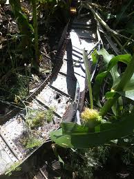 Image result for mh17 30mm bullet holes