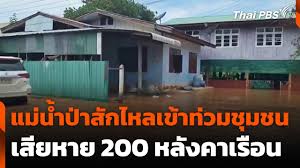 Thai PBS - News update