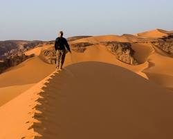 Camel trekking in the Algerian Sahara desert