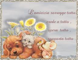 Risultati immagini per aforismi amicizia